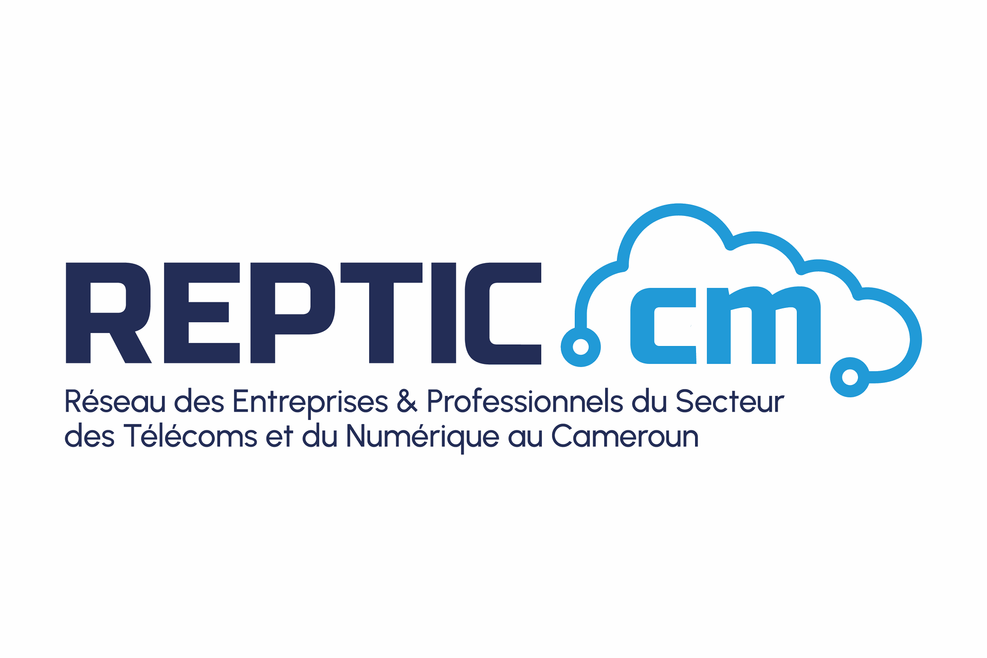 REPTIC : Réseau des Entreprises & Professionnels du secteur des Télécoms et du Numérique au Cameroun
